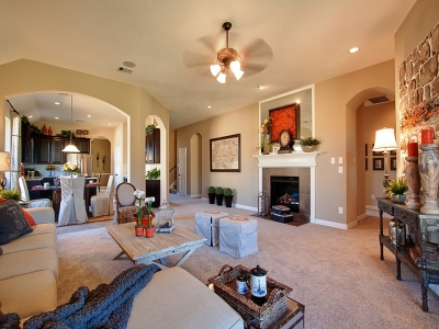 living room 21